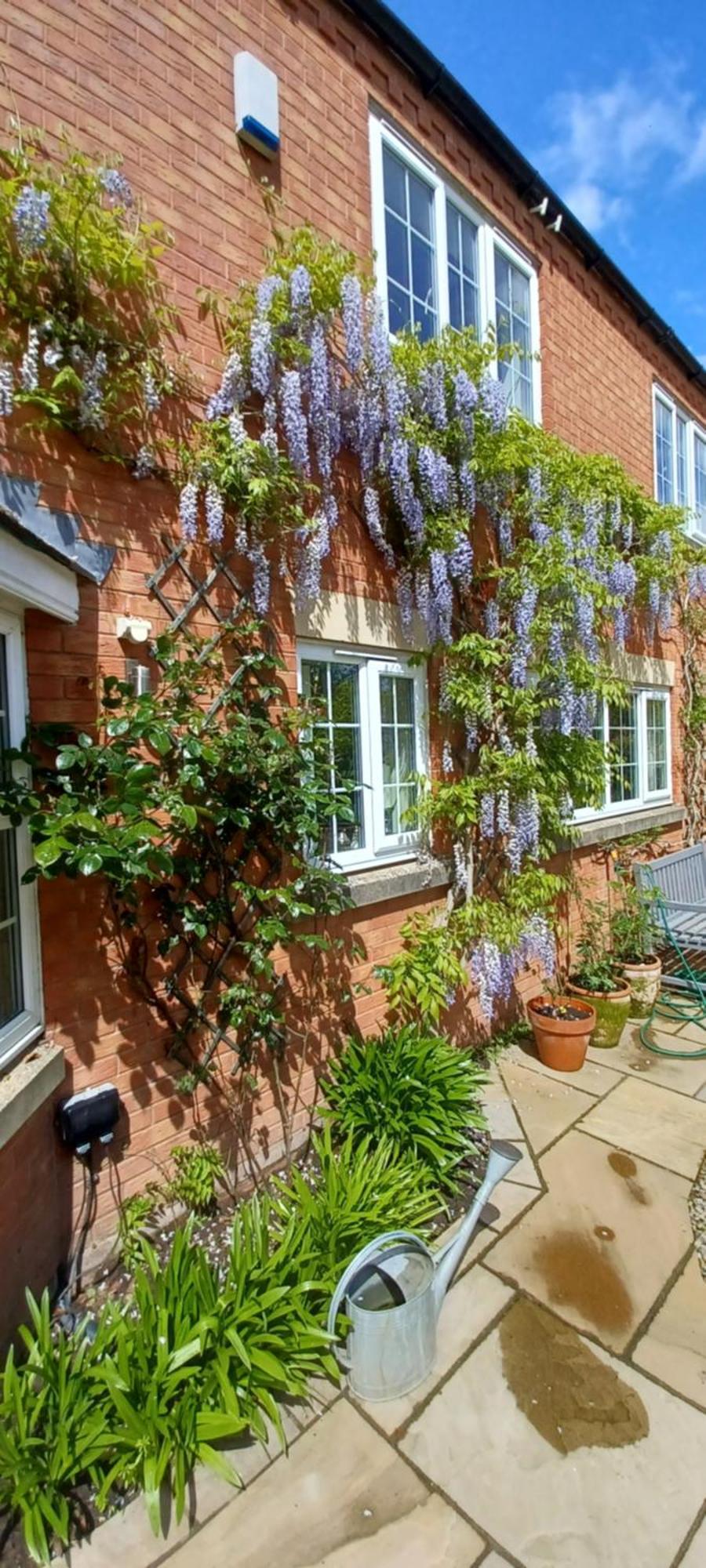 Harlequin B&B Ledbury Extérieur photo